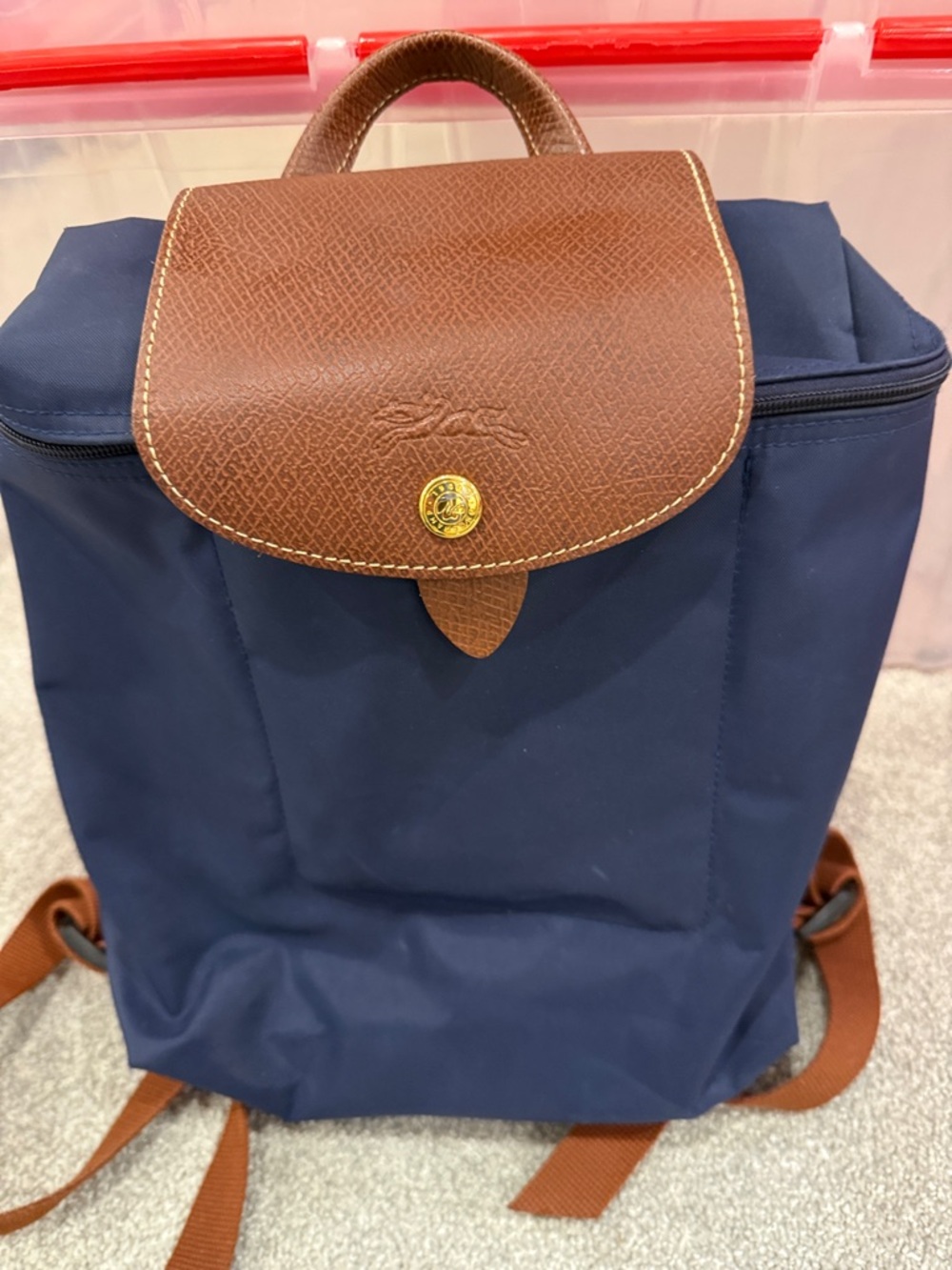 Longchamp Backpack